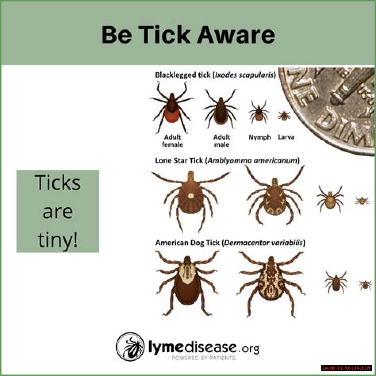 What Is Rick Lagina's Illness? Details On His Lyme Disease